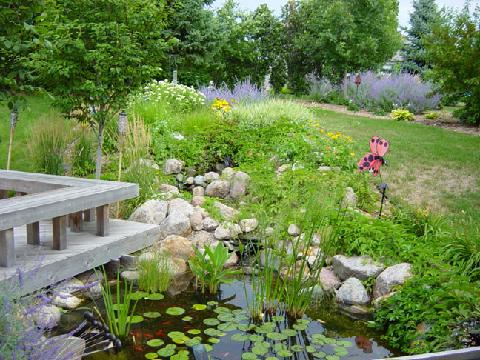Pond with cedar deck overhanging, waterfall, plant materials.